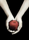 twilight-book-cover twilight-book-cover