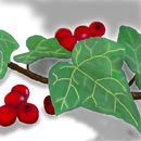 holly-berries-and-ivy holly-berries-and-ivy