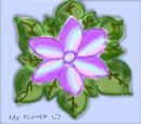 my-flower