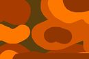 orange-camo