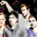 grizzly-bear-boys