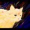cat by nameless