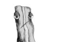 depressed-bacon