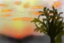 sunset-light