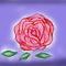 rose by roxy
