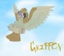 pidgey