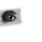 the-eye by mobah