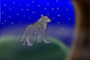 a-wolf-in-the-fog