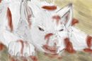 surviving-wolf
