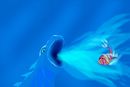 sea-dragon