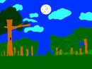 nature-first-draw