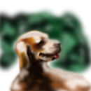 puuppy