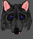 black-wolf black-wolf