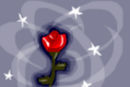 rose-of-love