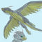 dragon by zeroimmortal