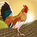 cock-a-doodle-doo