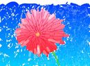 cursi-dandelion