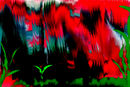 somewere-in-my-mind