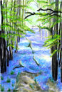 blue-bells-in-the-wood