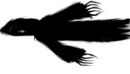 dementor