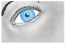 eye eye