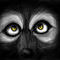 those-eyes by Aquawolf
