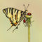 lady-bird-and-butterfl by nela_alen