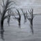 dead-forest by helyn1469