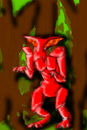 red-ant-man