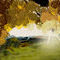 amanecer by celia