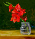 gladiola gladiola