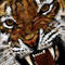 roar by hakan