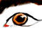 eye by sandeepanandnair
