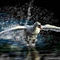 forced-landing by hakan
