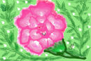 rose