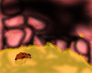 inside-the-belly-of-th