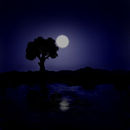 silenzio-notturno