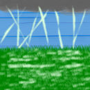 light-in-the-grass