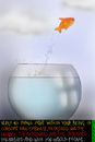 freedom