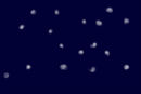 which-star-are-you