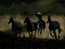 cowboy