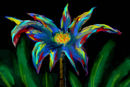lily