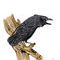 the-crow by messiahksk