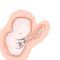 ein-foetus-wie-du by blutrose