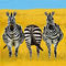 zebra by Belinda