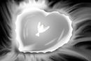 awakenings