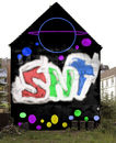 snt