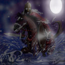 night-rider night-rider