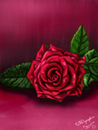 the-rose