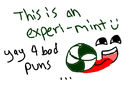 experi-mint